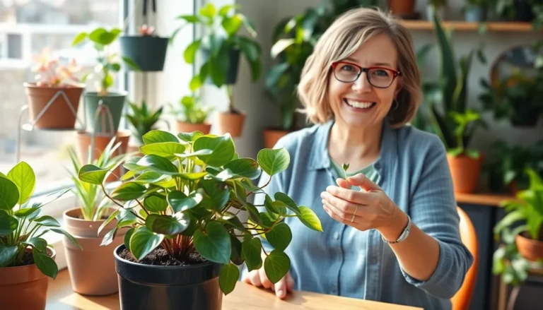 wandering jew plant propagation